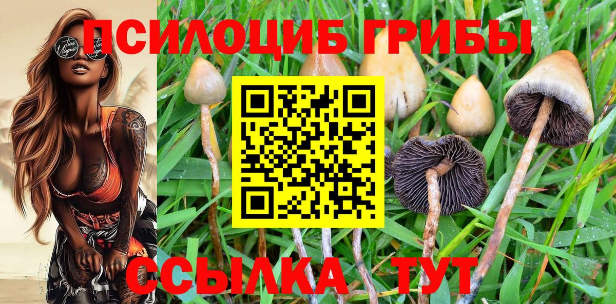 хочу наркоту  Вход с VPN  Дубна  Галлюциногенные грибы MAGIC MUSHROOMS 